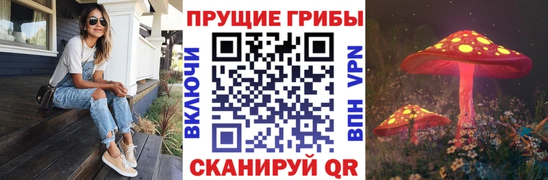 Галлюциногенные грибы Cubensis  Юрга 