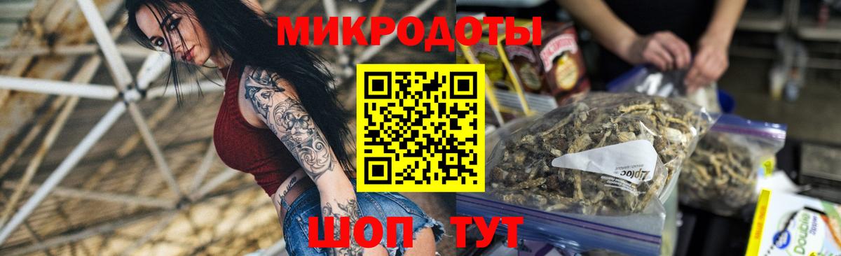 Галлюциногенные грибы Cubensis Юрга